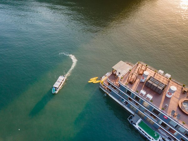 La faune et la flore des plages de la Côte d'Azur